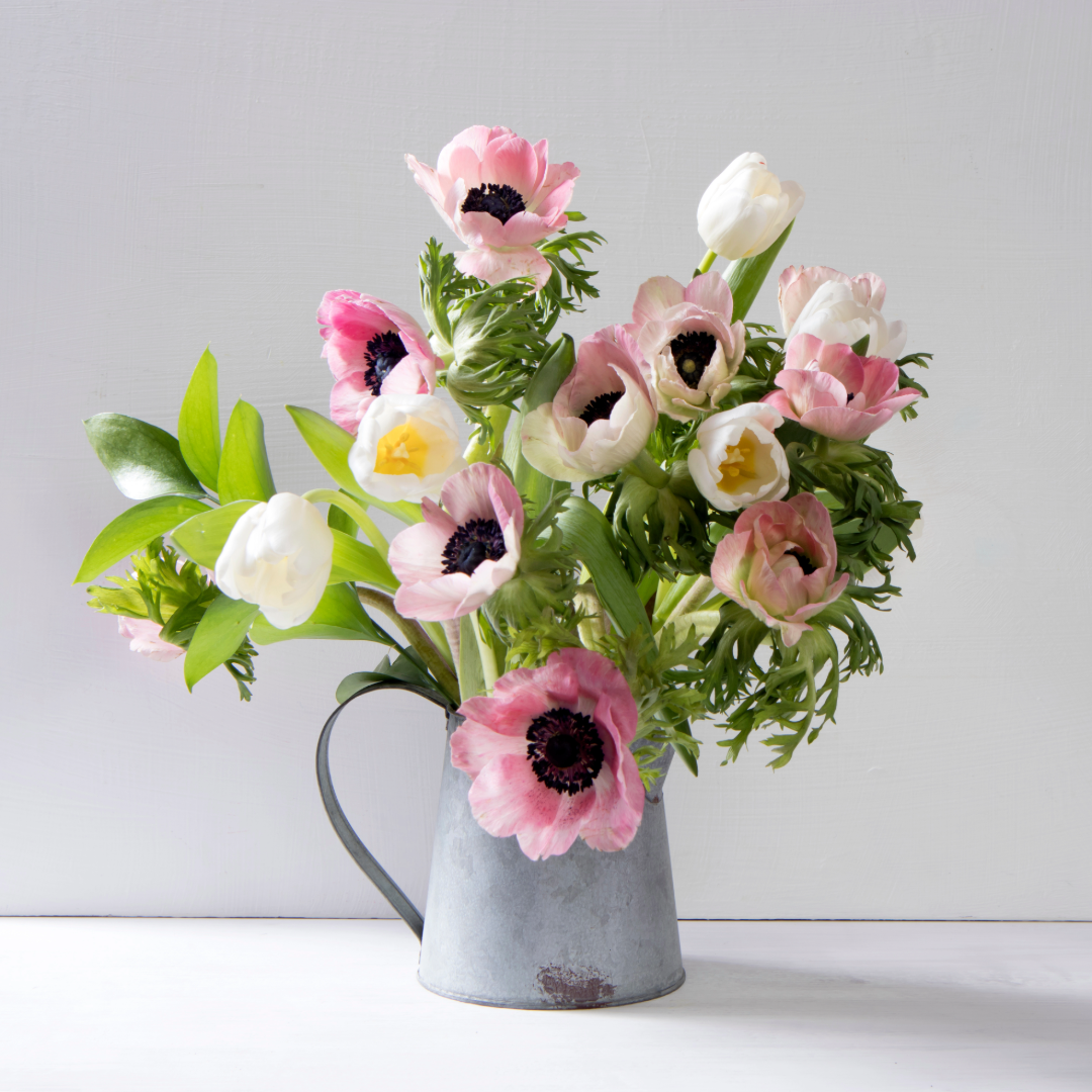 Flores